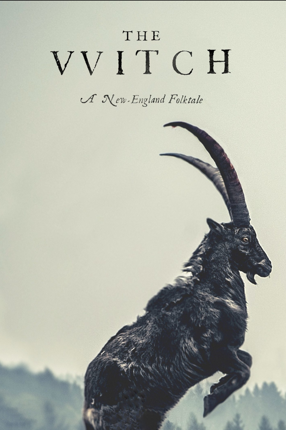 The Witch (2016) poster